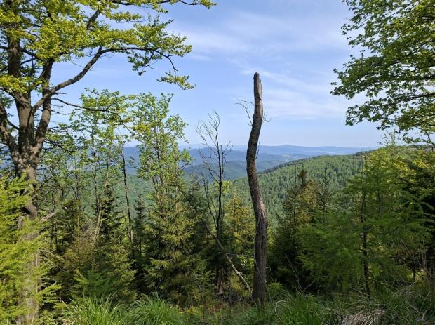 Kojšovska hoľa alebo len jednoducho "Kojšovka" 01