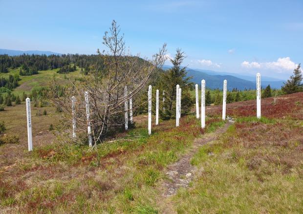 Kojšovska hoľa alebo len jednoducho "Kojšovka" 23