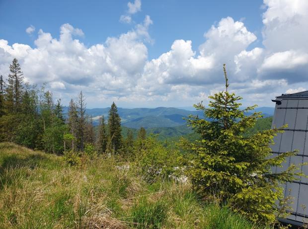 Kojšovska hoľa alebo len jednoducho "Kojšovka" 27