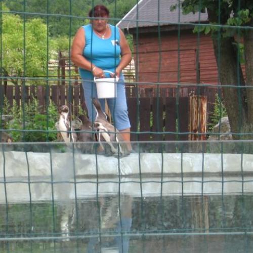 ZOO