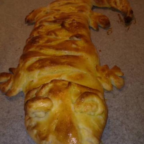 krokodýl