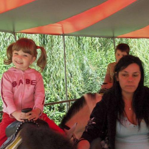 v zoo na poníkovi