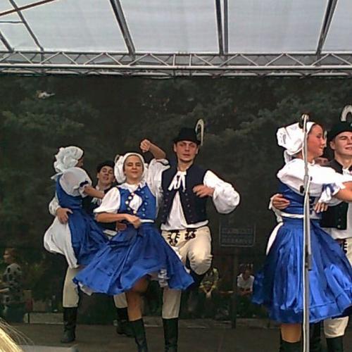Niekedy sa čudujem, že sa im tie nohy nezauzlia