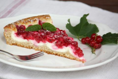 Ríbezľový koláč s tvarohom - recept postup 11