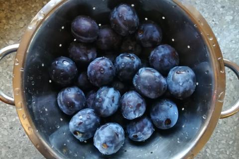 Žemľovka so slivkami a tvarohom - recept postup 2
