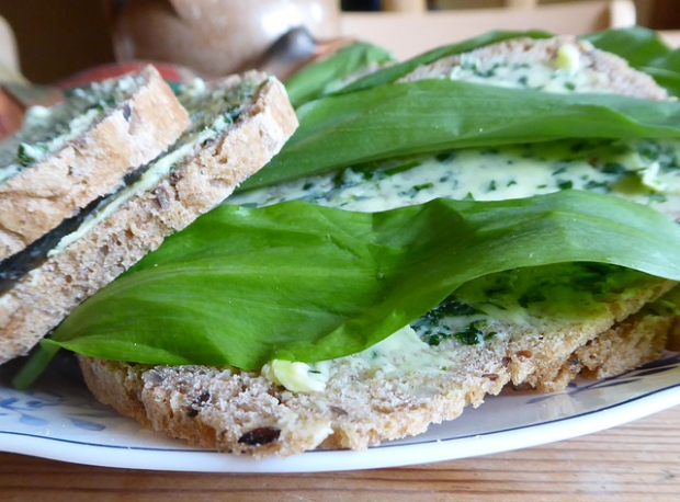 Nátierka s medvedím cesnakom, recept
