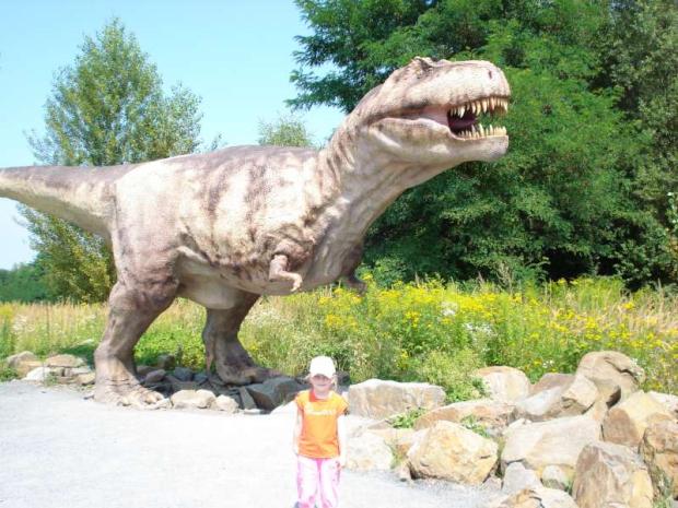 Ivka a dino, Naše deti, evusa, 1