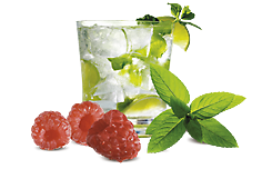 mojito, Obrázky ku článkom, Kamila, 1