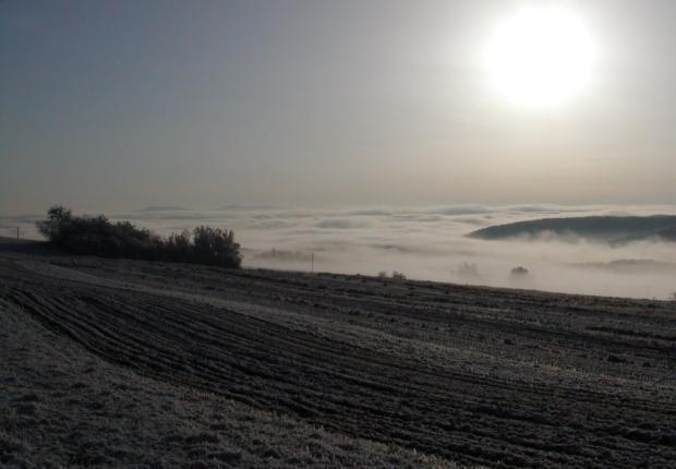 Mrazivé ráno, Všetko krásne, Kamila, 1