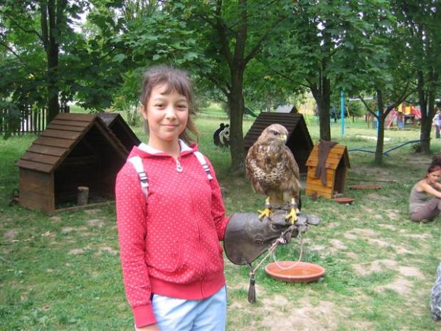 ZOO- Košice, Všetko krásne, babka Betka, 1