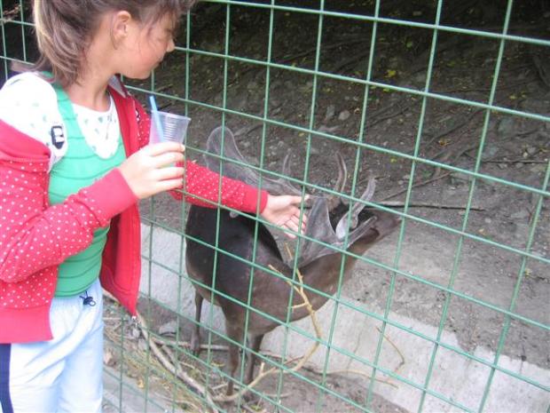 ZOO, Všetko krásne, babka Betka, 1