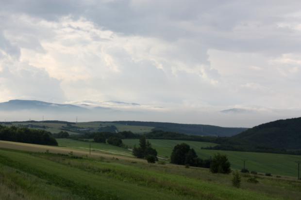 Šľahačkové kopce, Všetko krásne, Kamila, 1
