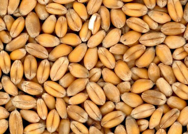 Keltýš-keltieš-birač, recept Keltýš-keltieš-birač, Iné recepty, recept, nagas