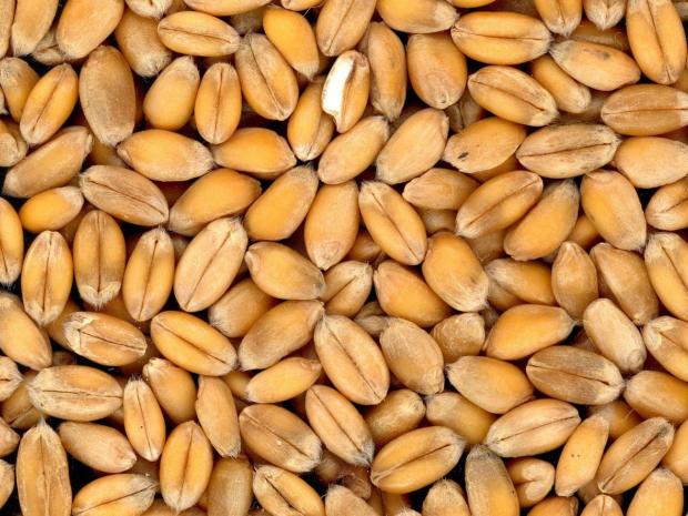 Keltýš-keltieš-birač, Iné recepty, recept, nagas